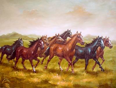 Horses 013